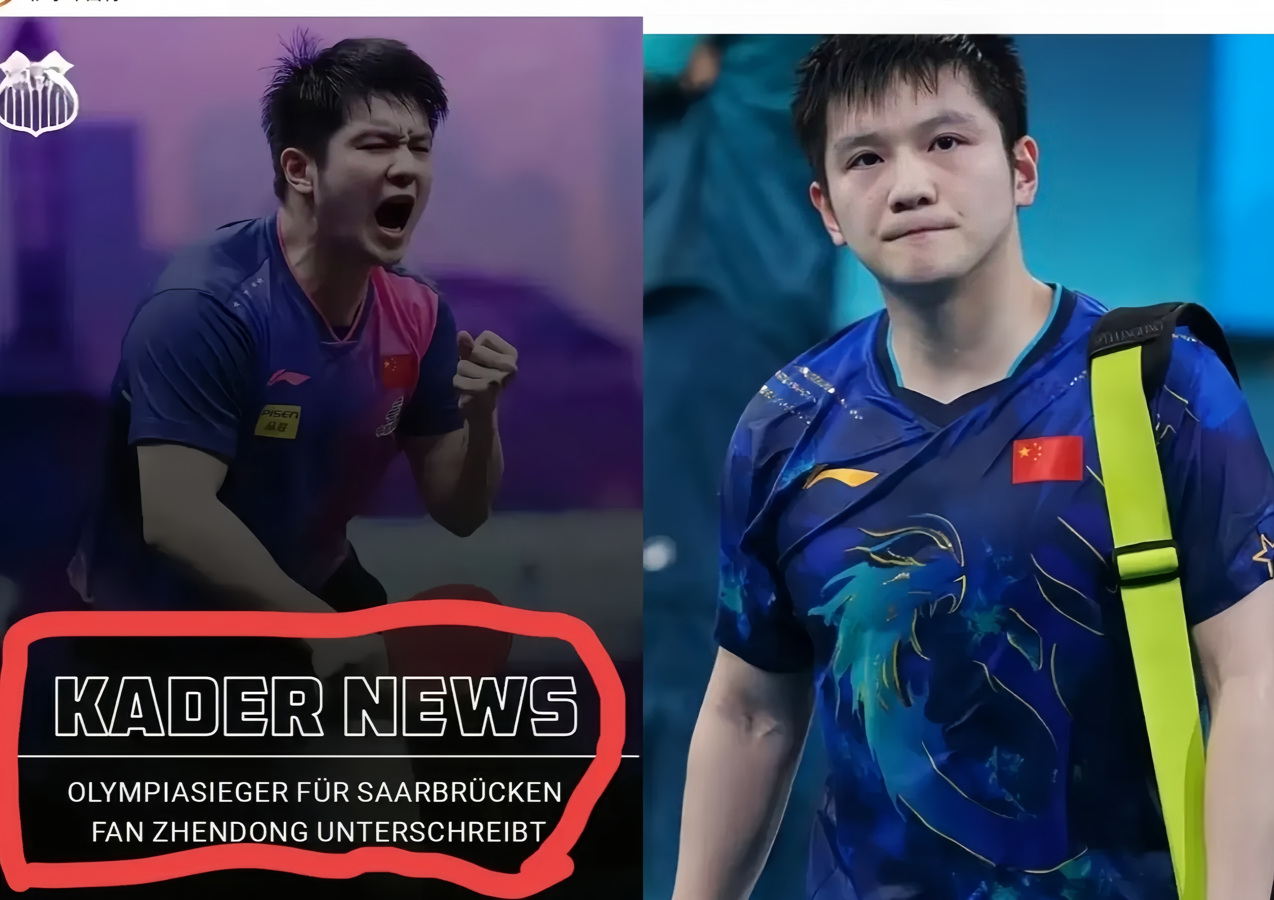 奥地利乒乓球队逆转德国乒乓球队,樊振东高光表现 奥地利乒乓球队逆转德国乒乓球队,樊振东高光表现