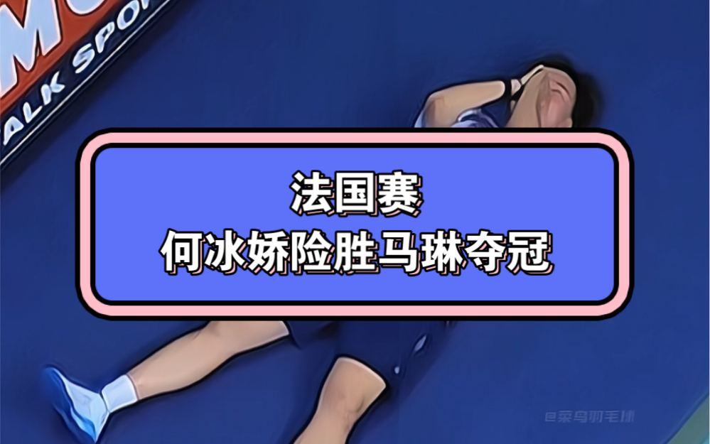 leisu-法国羽毛球队力克日本羽毛球队，马琳关键制胜