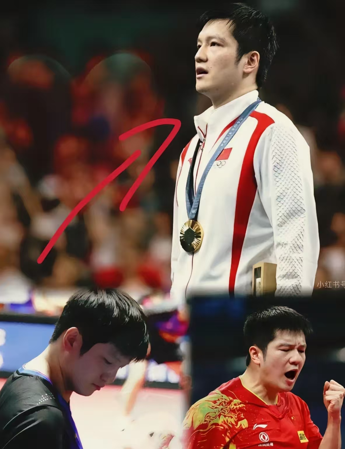 波兰队完胜瑞典队,樊振东刷新纪录 波兰队完胜瑞典队,樊振东刷新纪录