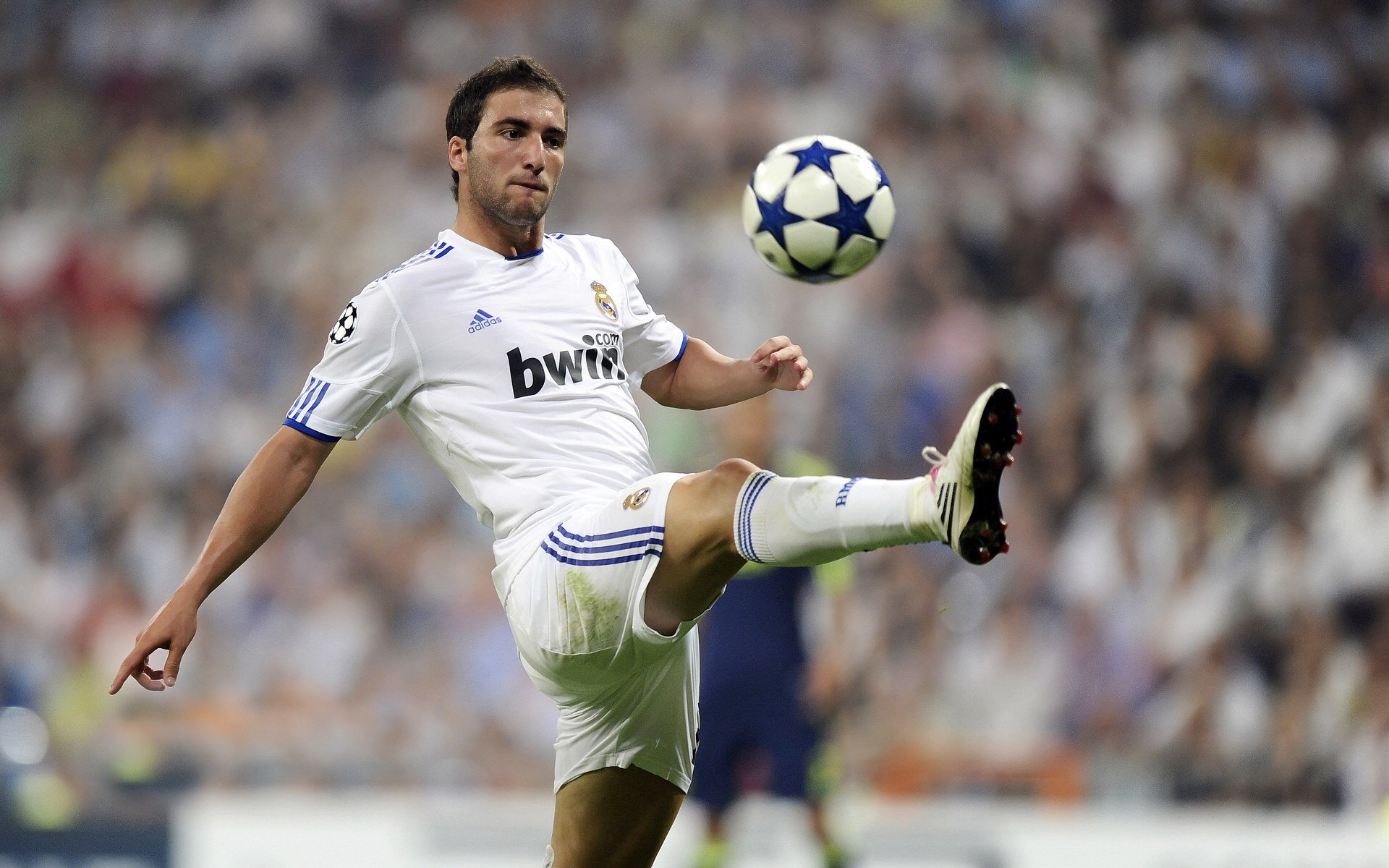 王者的双重奏鸣，从CBA硬仗到NBA接管，胜利的基因如何跨越山海